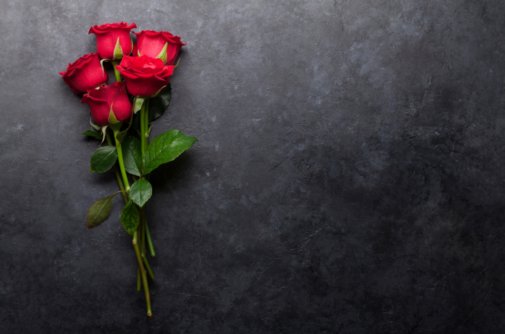 Roses on dark gray background