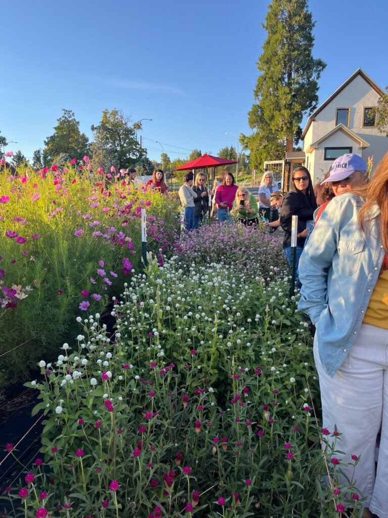 flower farm tour