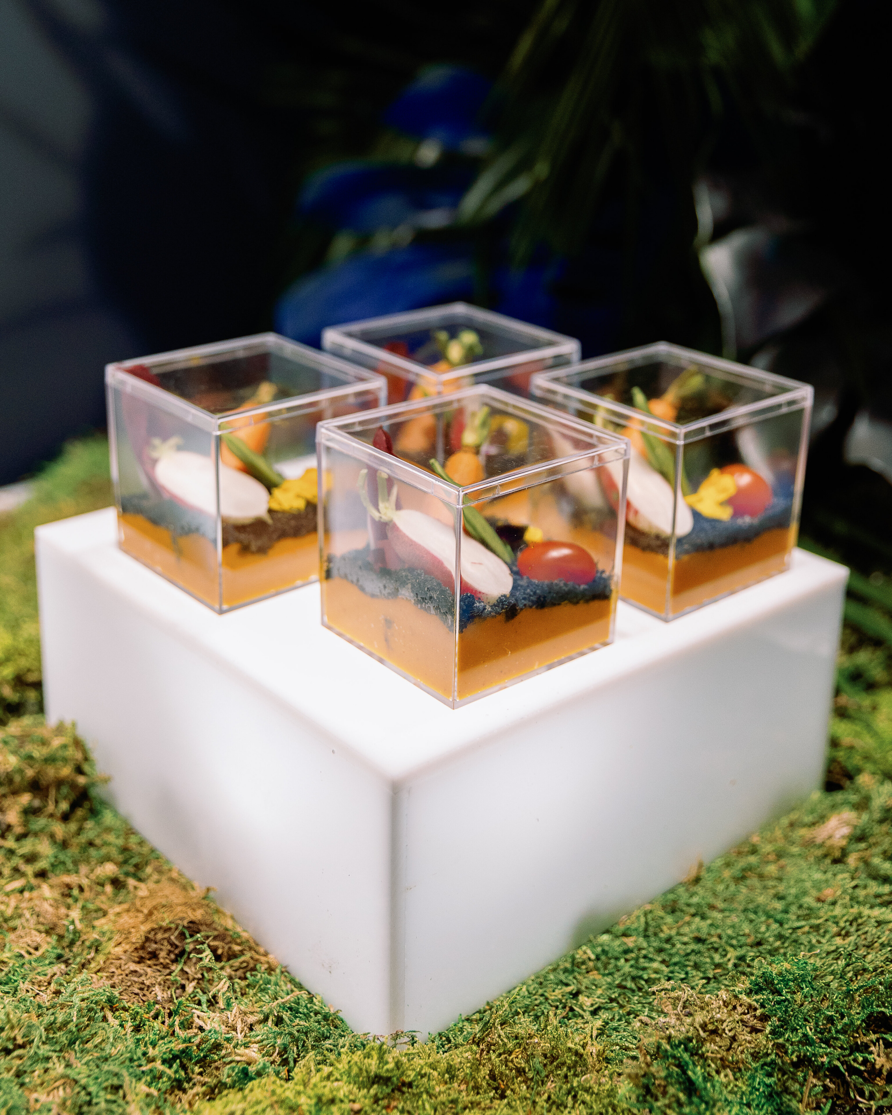 Museum of Illusions – LUX Catering & Events